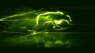 Run Panther Intro Template colors Yellow | Intro effect | Free template |  no copyright | Sone Digit