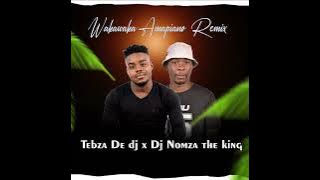 tebza de dj ft DJ Nomza The King Waka Waka Amapiano remix Shakira ft fleshy ground hit song