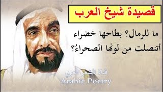 قصيدة شيخ العرب، شعر عن الشيخ زايد، ما للرمال بطاحها خضراء ،  بصوت الشاعر وائل العبابسة