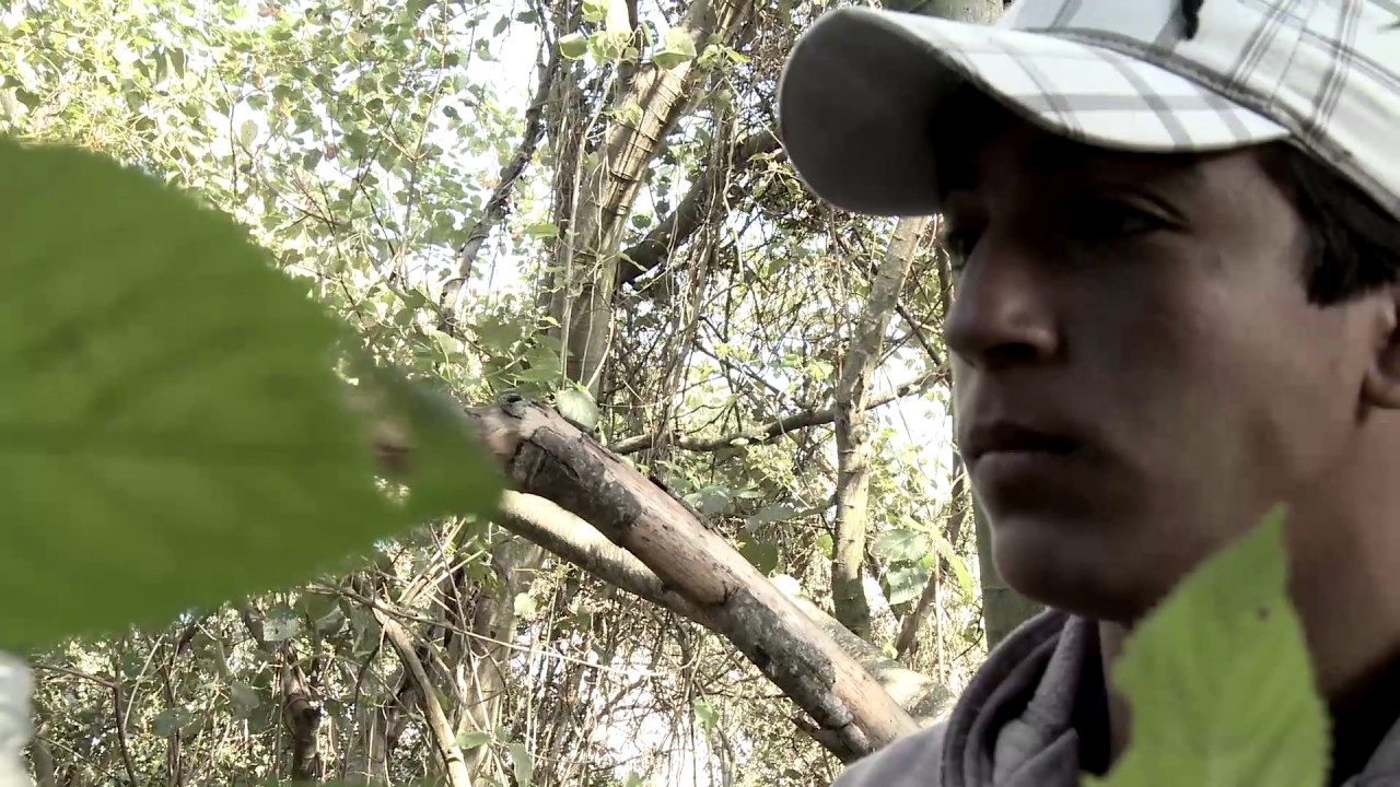 ISLA ADENTRO - CAP IV  - PARANÁ, HISTORIAS DE UN RÍO