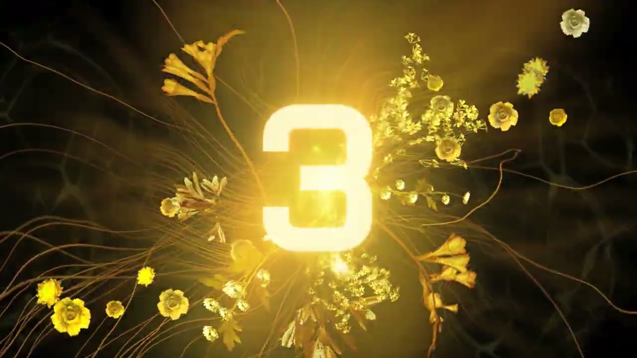 Dolby Countdown Dolby Digital® 640 kbps, 48 0 kHz, 6 channels