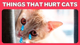 14 Things You Do That Hurt Your Cat You Must Stop Doing!