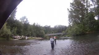 My 5th salmon lost