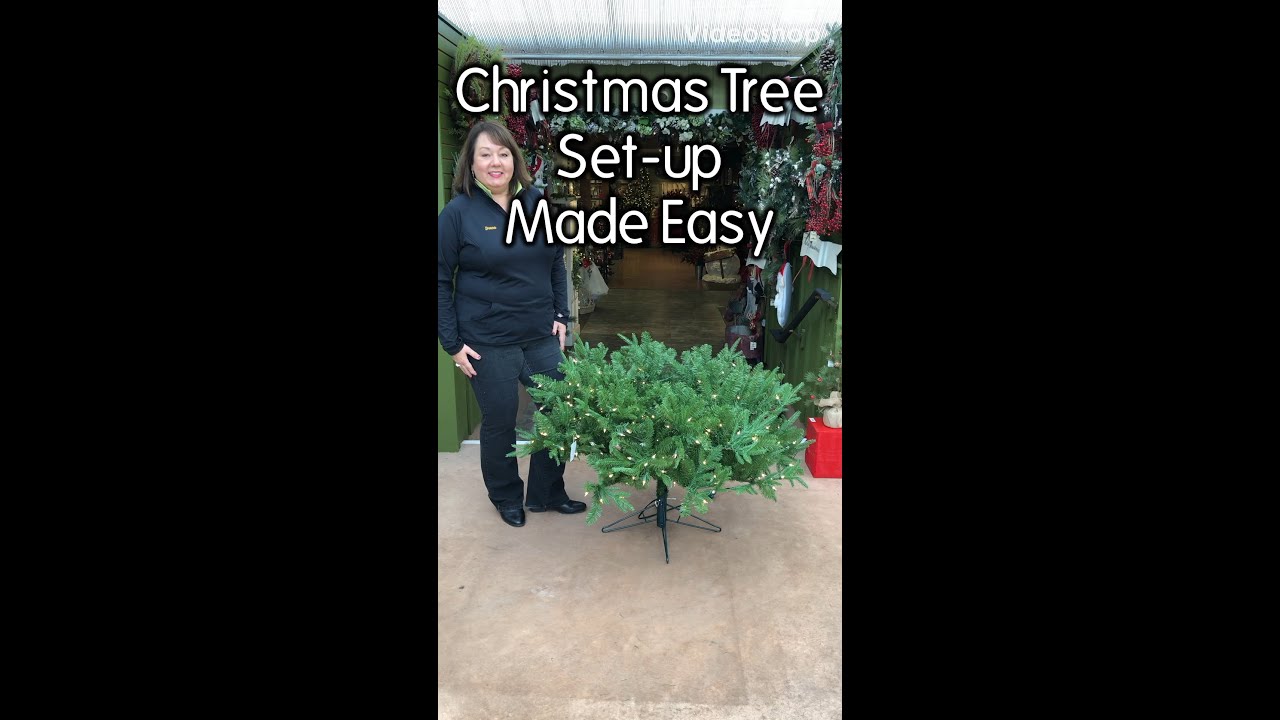 Christmas Tree Set Up Made Easy With Bucks Country Gardens Youtube