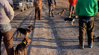 2026 LITTLE PACK WORLD HUNT 