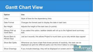Lesson 15: Customizing and Formatting Your Project - Microsoft Project 2016 Course | Universal Class