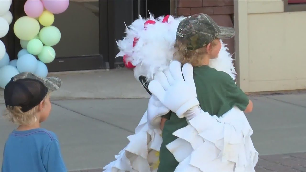 43rd Annual Wayne Chicken Show YouTube