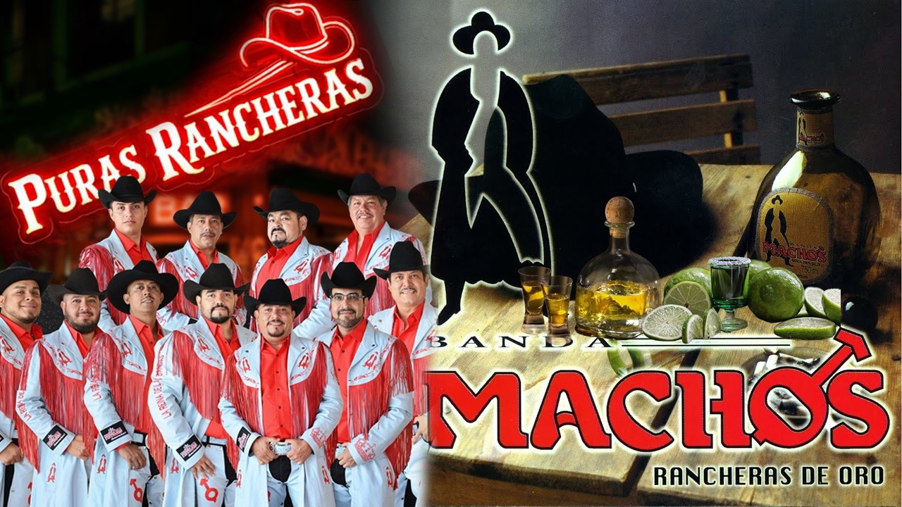 Banda Machos💥💔 Puras Rancheritas Llegadoras y Se Vale Llorar En La Cantina🍷💥 Las Más Llegadoras🌙🎺