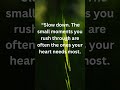 Slow Down and Feel the Moment #calm #shorts