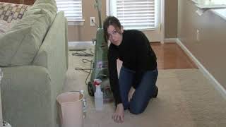 How to Clean Stains in Carpet by ExpertVillage Leaf Group 9,825 views 3 years ago 2 minutes, 19 seconds