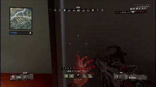 cod4 beta
