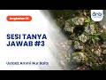 Sesi Tanya Jawab #3 - ANB Muamalah | Ustadz Ammi Nur Baits