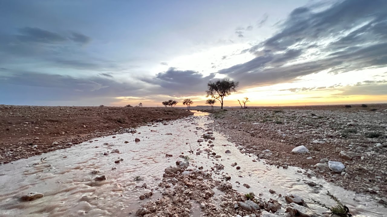 كشتة اربعة ايام بعد الامطار في منطقة الوشم