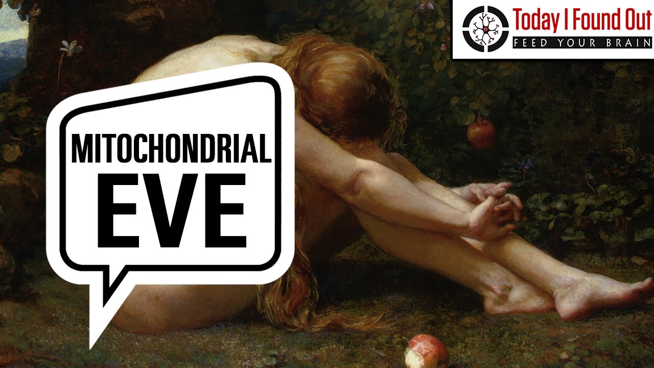 The Woman Who is the Mother of Us All