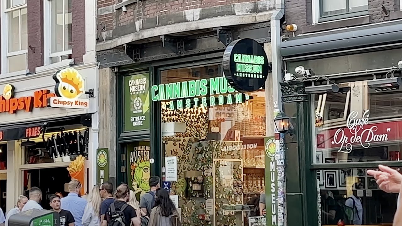 Visiting a cannabis museum in Amsterdam 🇳🇱