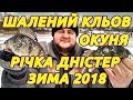 Відкриття зимового сезону 2018. Шалений кльов окуня на Дністрі.  Бешенный клев окуня. Река Днестр