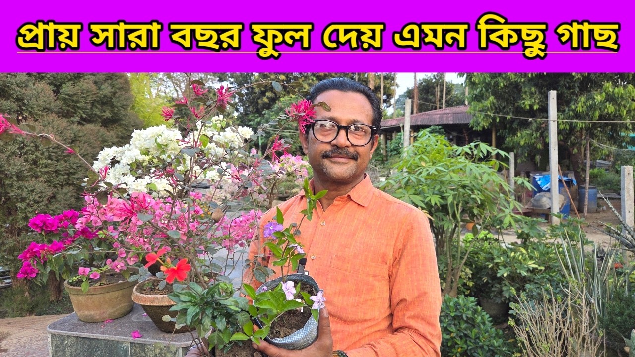 প্রায় সারাবছর ফুল দেয় এমন কিছু চিরস্থায়ী গাছ||Some Parmanent Flowering Plants||