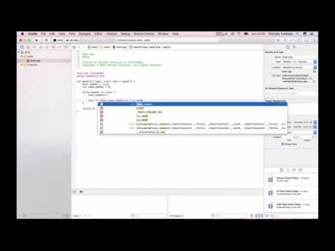 How to using a while loop in C++ and learn how you quit your loop
