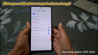 How to Enable Notification Categories for Each App on Galaxy S25 Ultra