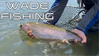 Fly Fishing Paradise? San Juan River Fly Fishing Wade Fishing With Jacob Deifenbaugh