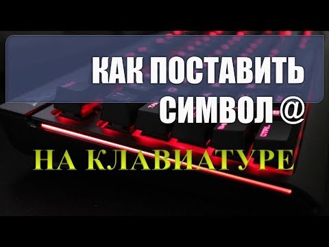 Видео: Как ввести собак