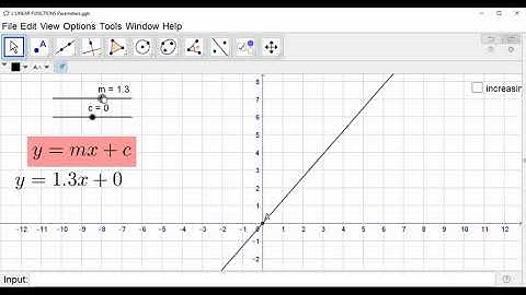 11 LINEAR FUNCTION Parameters Geogebra