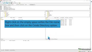 How to Create or Delete a Directory Using the FileZilla FTP Client   WebHostingPeople