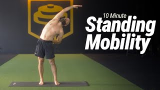 10 Minute Standing Mobility Workout | Follow Along, No Talking