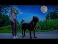 Cane Corso Late Night Dog Walking - RAW Home Video