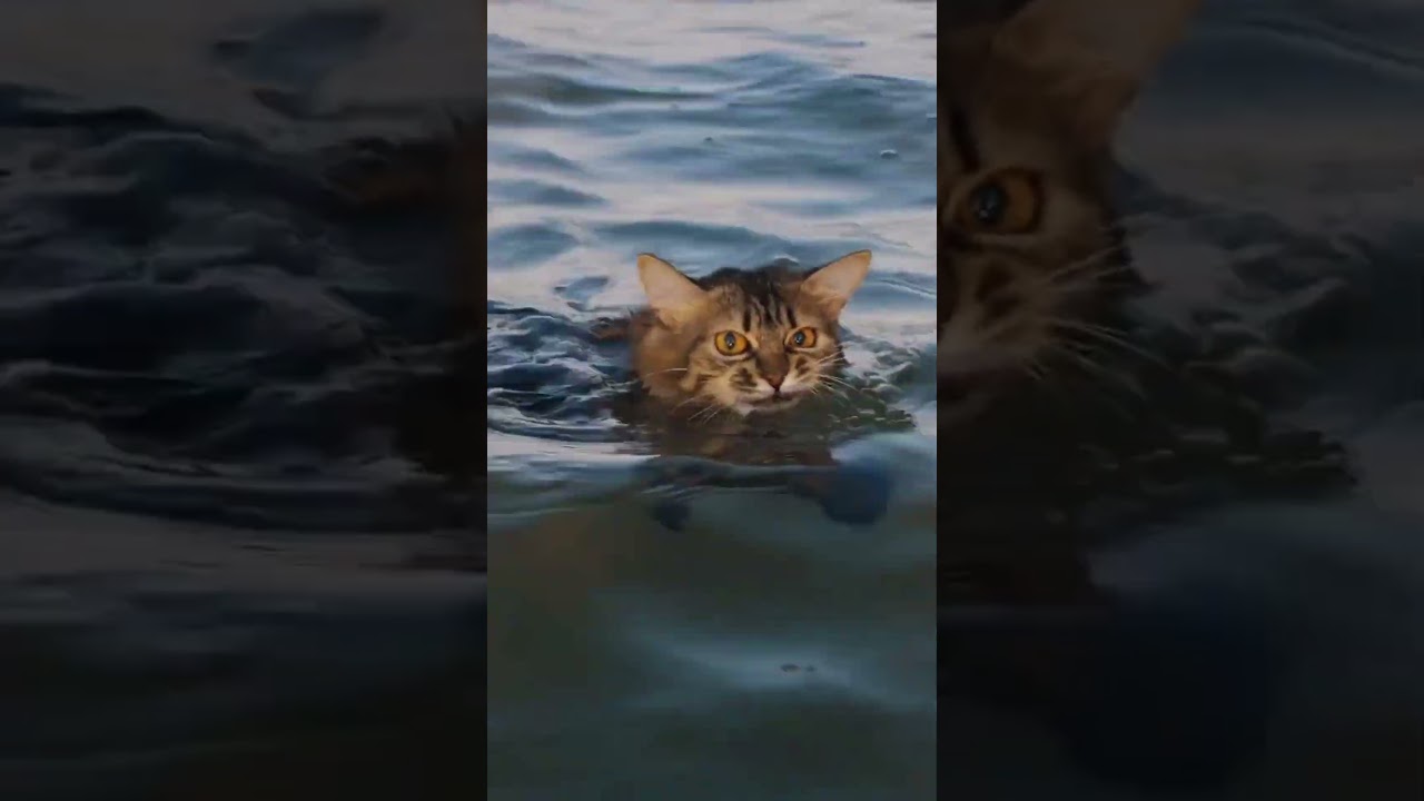 Шаг к спасению  