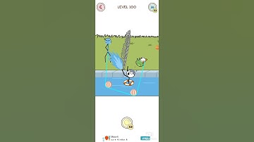 thief puzzle level 100