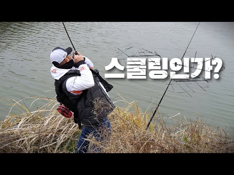 [박기현의 피싱로그99.9] #131회 겨울 배스낚시에 즐거움을 더해주는 <strong>스쿨링</strong>