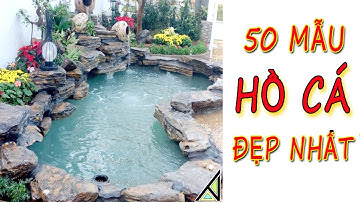 TOP 50 MẪU HỒ CÁ KOI ĐẸP NHẤT  2020