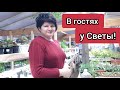 Такая вот дружба!