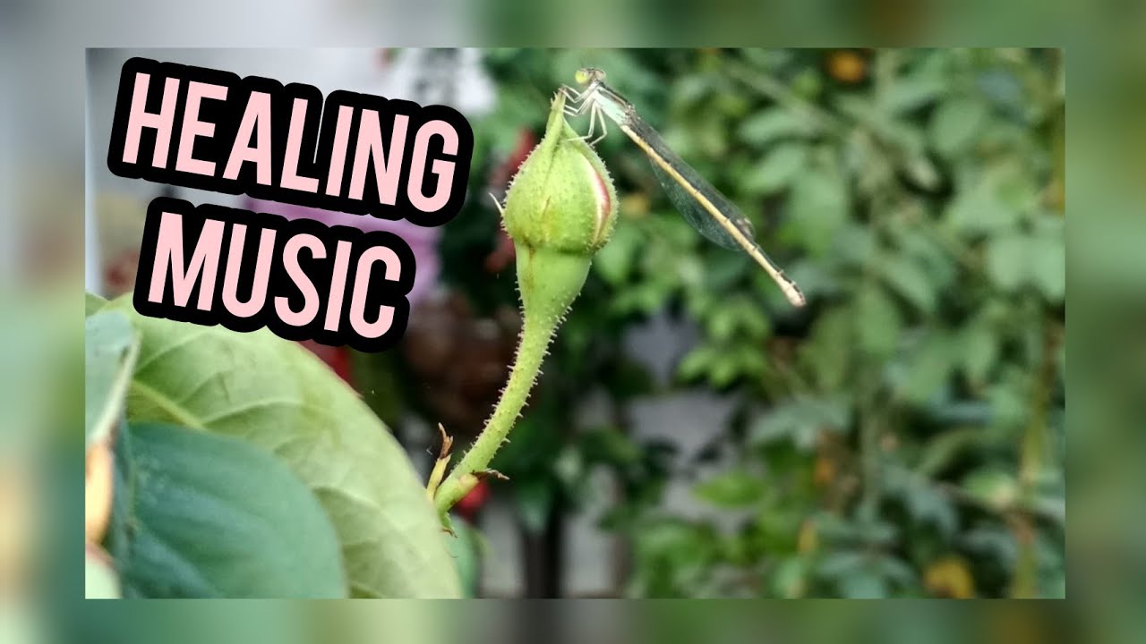 Mira Healing Music for headache relief | Heal your body and Soul | ❤️ Soothing Music 🎶 en YouTube Mira Healing Music for headache relief | Heal your body and Soul | ❤️ Soothing Music 🎶 en YouTube