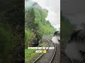 Schwarzwald Dampflokfahrt in der 52 7596 #train #steamtrain #eisenbahnromantik #dampflok