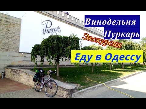 Экскурсия на винодельне Пуркарь - В Одессу на велосипеде, из Молдовы