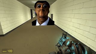 Gmod Perfectly Cut Screams again