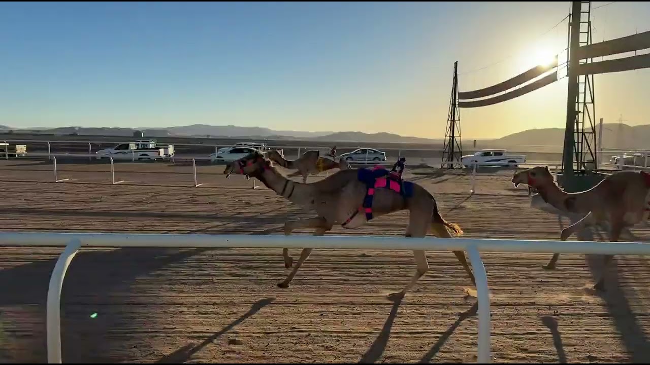 الشوط الأول | بكار حيل رئيسي | ترف | ياسر بن محمد العطوي | 