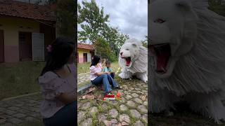 Cewe Cantik Bawa Ade Kecil Nya Malah Di Mamam Sama Camacan