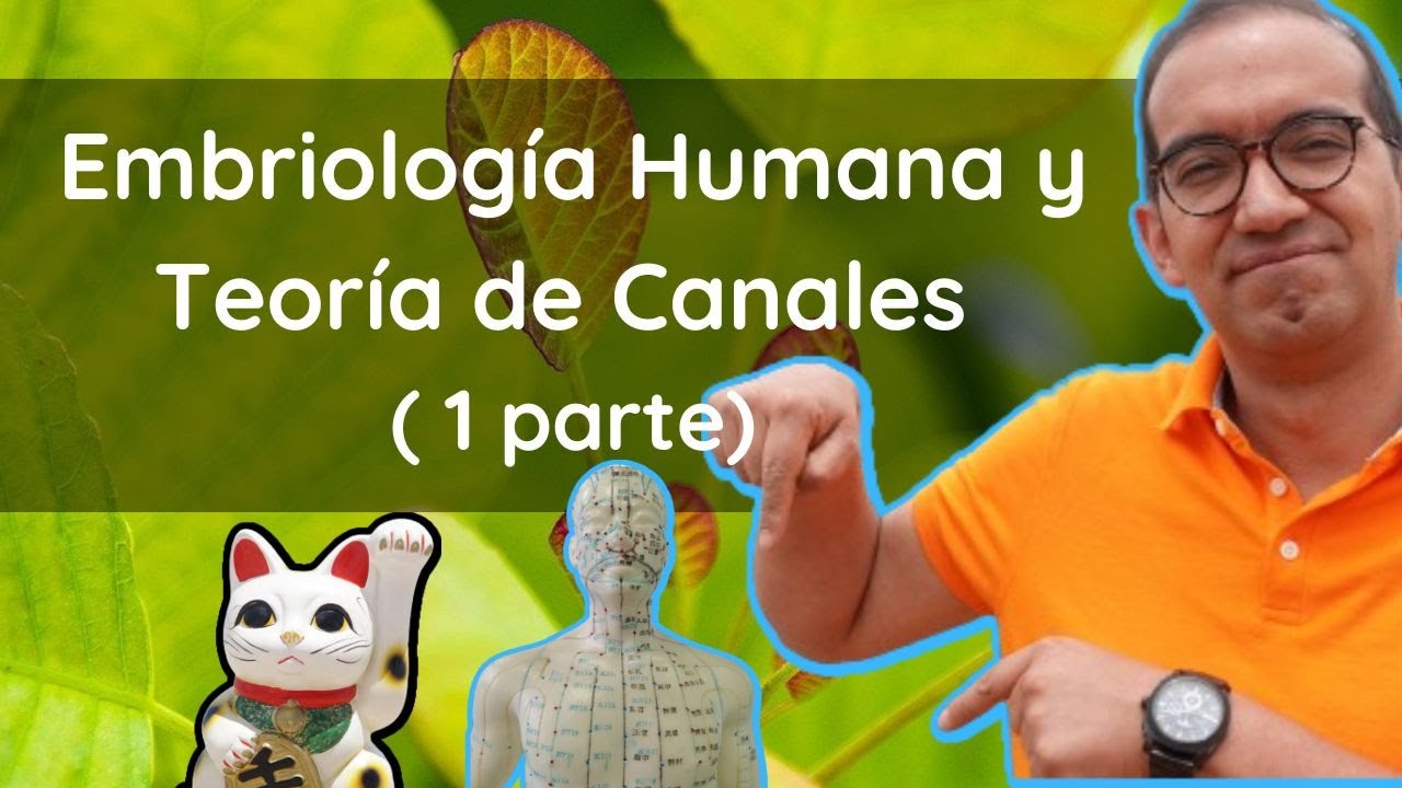 Embriología y Teoría de Canales en Medicina China (Jing Luo) : Parte 1