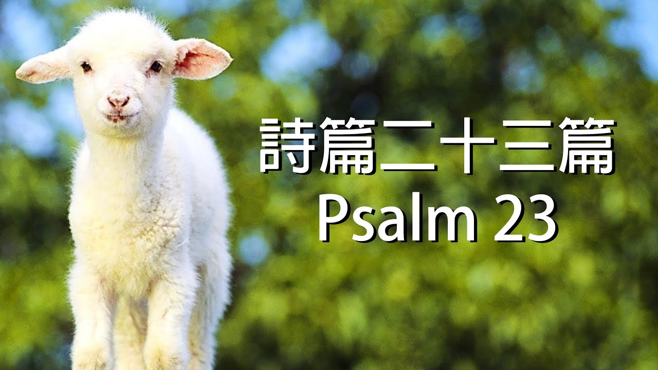 诗篇 23：3 壁纸