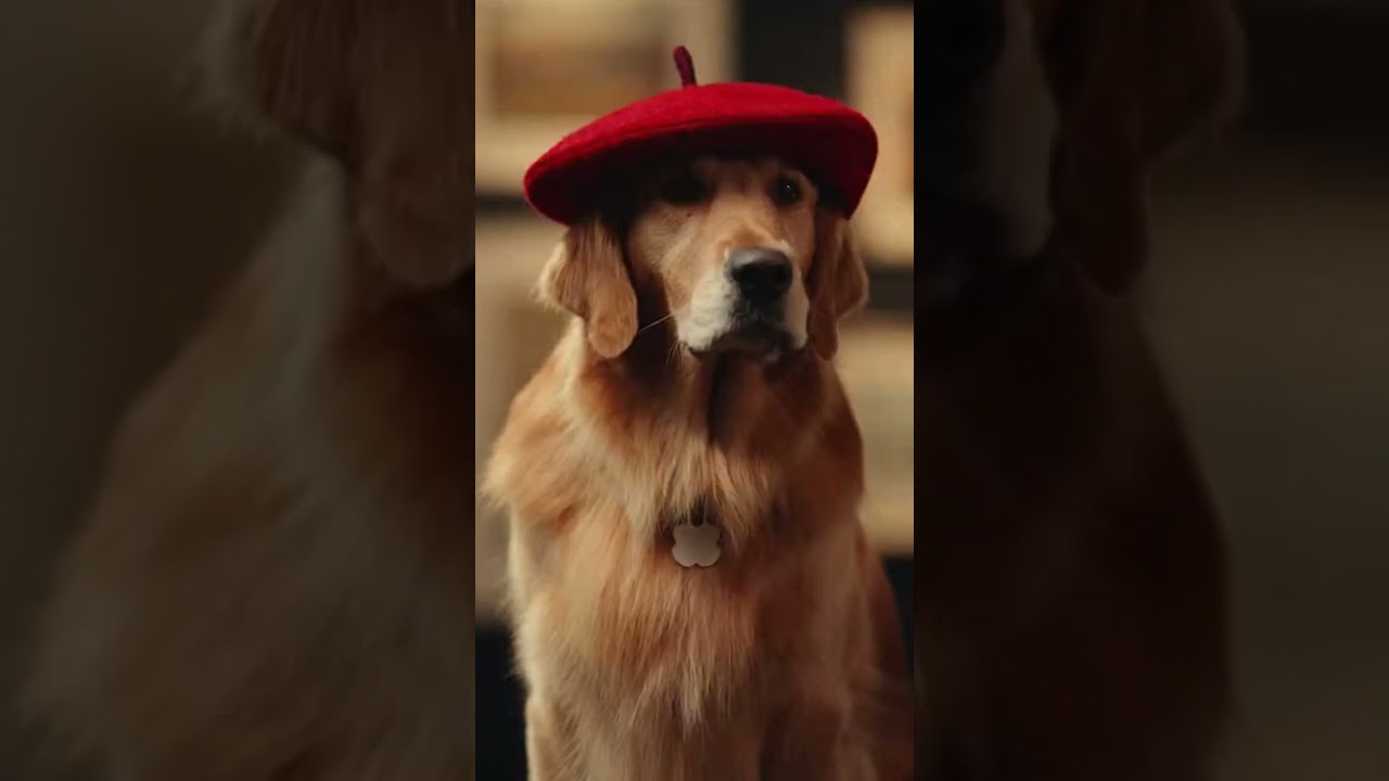 Rate Vincents artwork from 1-10 an if he's a good boy!