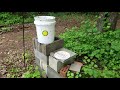 Open Feeding Bees with a Bucket 7-2022