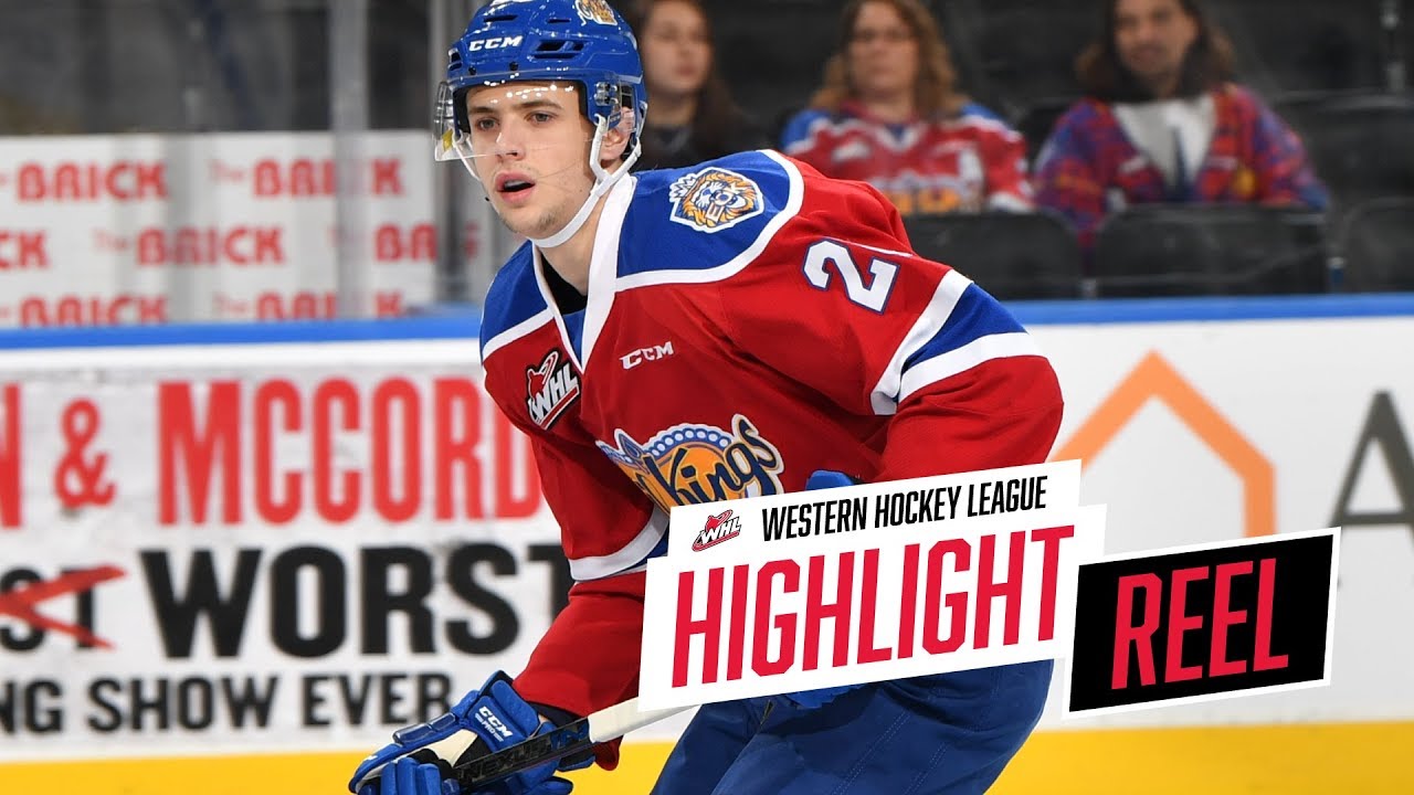 2018-19 HIGHLIGHT REEL | David Kope