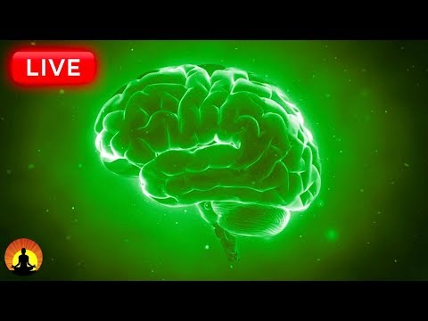 ? Concentration Frequency 24/7: Focus Music for Studying