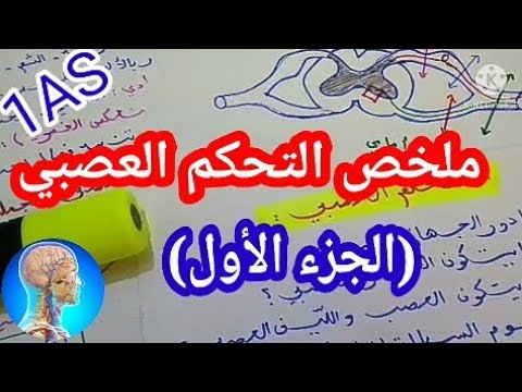 1#ثانوي علمي ملخص التحكم العصبي (الجزء 1)#مراجعة شاملة التحكم العصبي مفهوم العصبون و السيالة العصبية