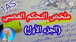 1#ثانوي علمي ملخص التحكم العصبي (الجزء 1)#مراجعة شاملة التحكم العصبي مفهوم العصبون و السيالة العصبية
