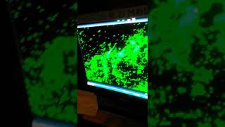 Newest Painting Of Leo Found Check It Out.