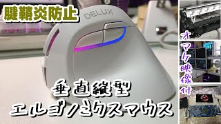 DELUX エルゴノミクスマウス ワイヤレス 垂直マウス 縦型マウス 腱鞘炎防止 M618 mini